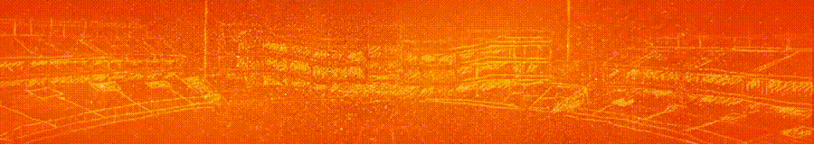 Bottom Image Grid